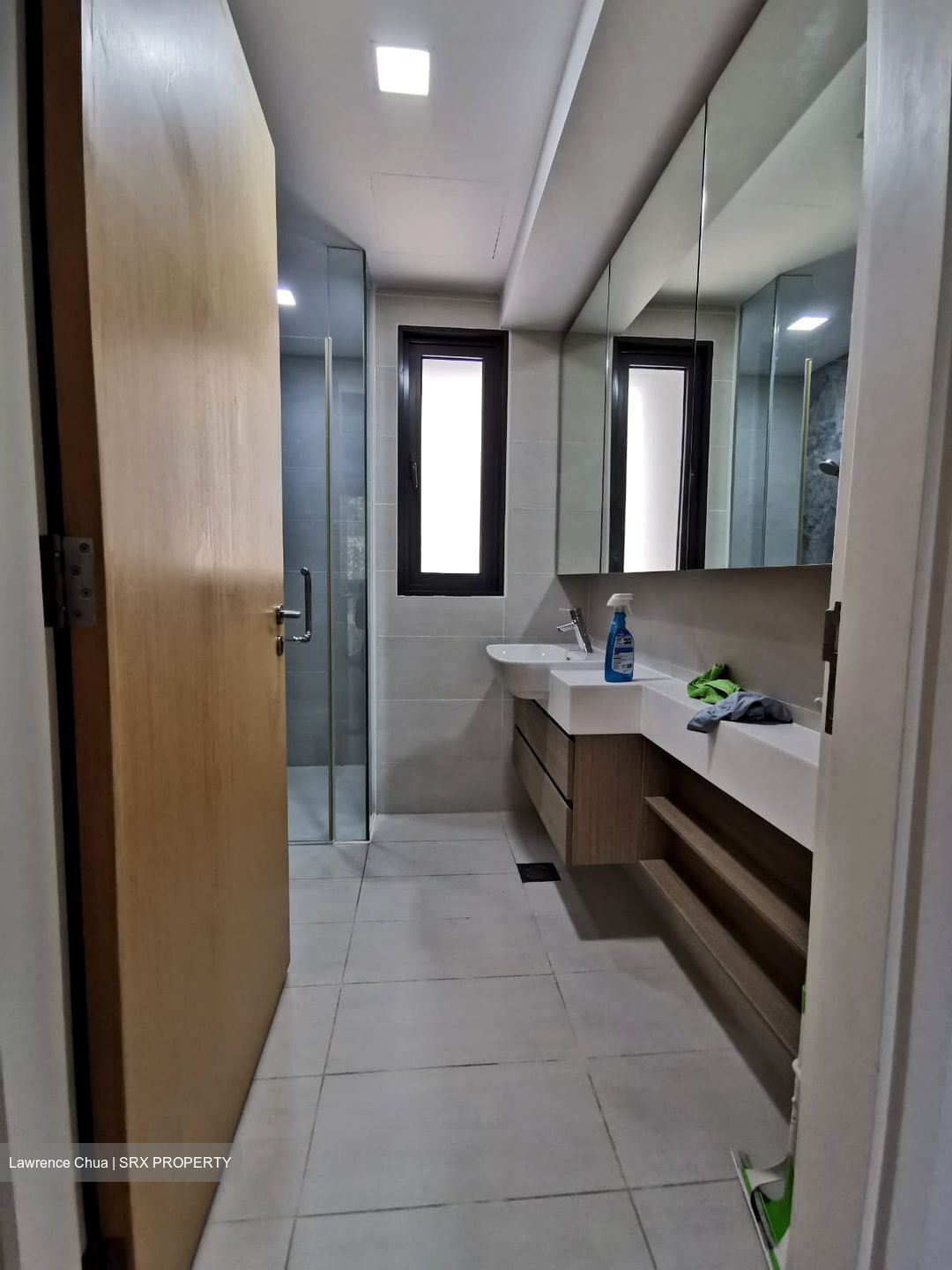 The Lakefront Residences (D22), Condominium #567121621